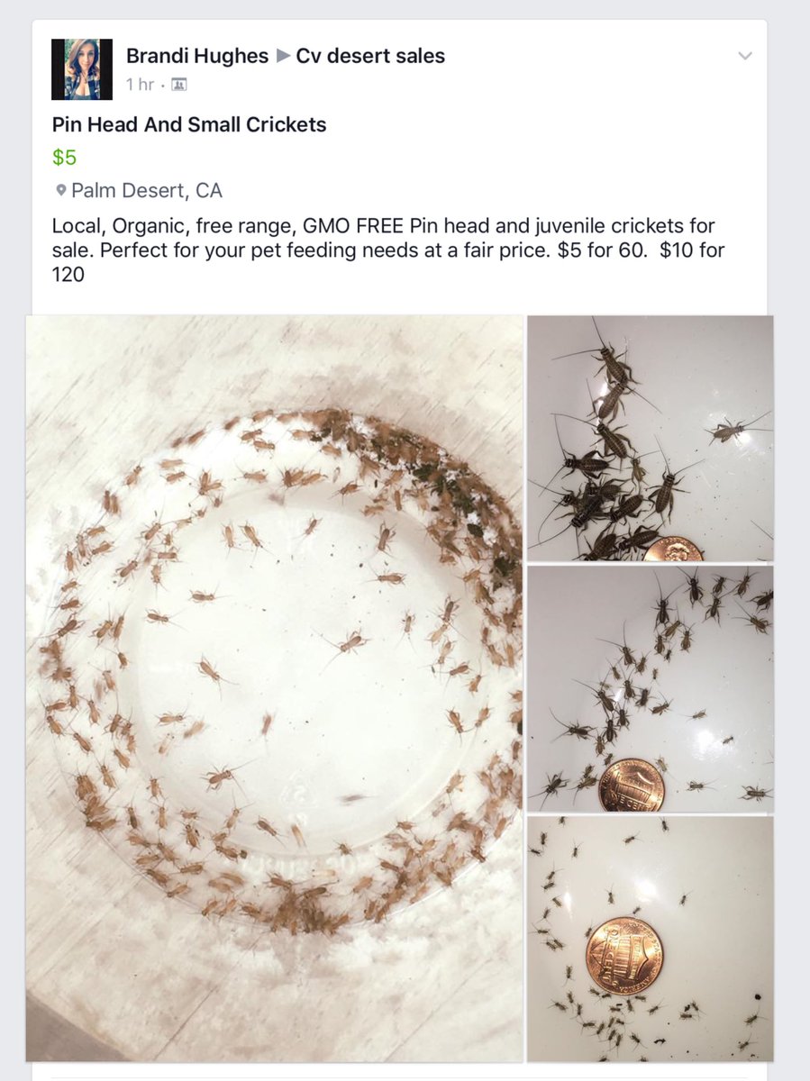 mr_m_terry's tweet photo. And GMO Free that's insane! https://t.co/SB02Br93yi