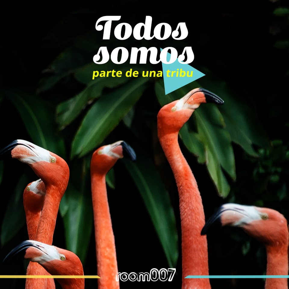 ¿Tienes pensado hacer un viaje en grupo? 
¡Consigue las mejores ofertas con nosotros! 
--> room007.com/grupos/?l=es