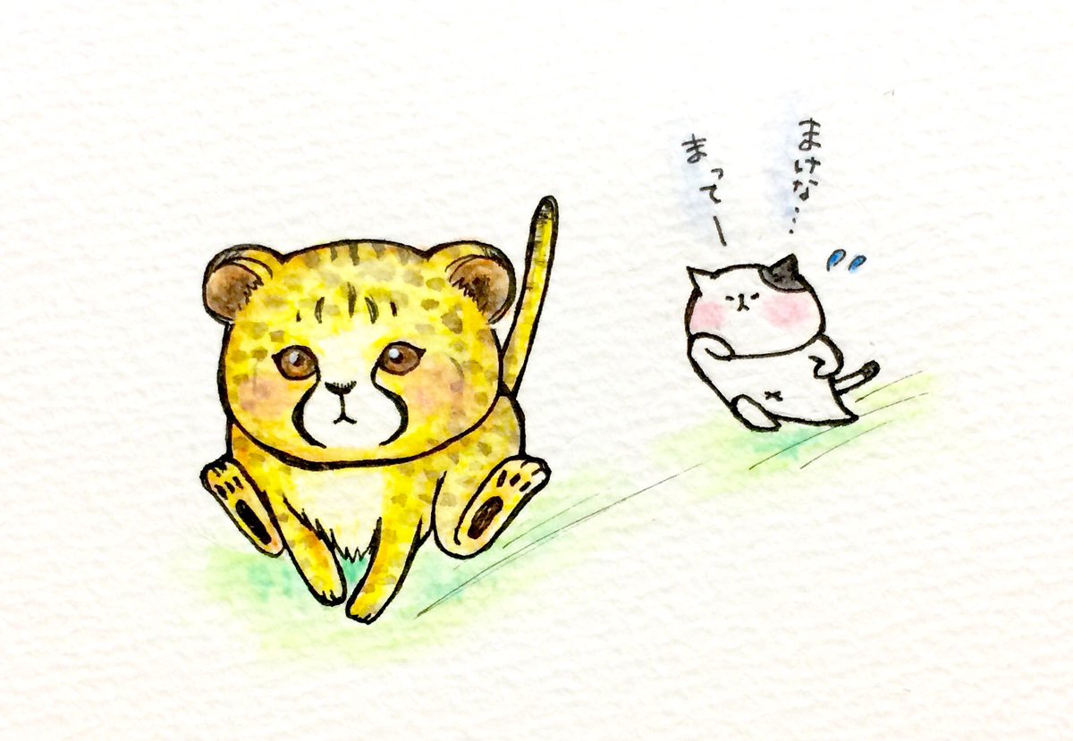 Twitter 上的 おこにゃん まけな 待ってー チーター 走る まけない まって シリーズ 猫 にゃんこ イラスト 可愛い 1日1絵 癒し 手描き 絵描きさんと繋がりたい イラスト好きな人と繋がりたい 絵描き人 Followme Cats T Co Yp2sbuetrw Twitter