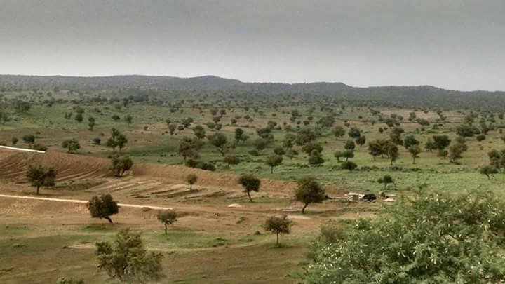 amarguriro's tweet photo. Waste water from #Tharcoal site in #Islamkot #Tharparkar is destroying local forest, habitat of different wild species and pastures.
#Thar https://t.co/SDqVu7oas9