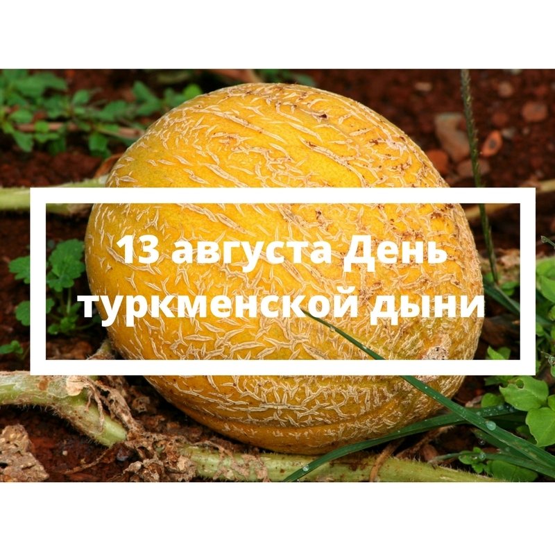Какой сегодня день? (@today_okay) on Twitter photo 