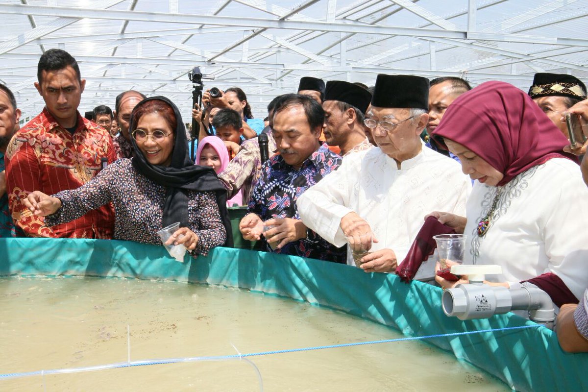 kkpgoid's tweet photo. Hari ini (13/8), Menteri @susipudjiastuti hadiri Penebaran Perdana Benih Ikan Lele Sistem Bioflok di Ponpes @Tebuireng Jombang
📷@reginasafri https://t.co/NqCiFKNrql