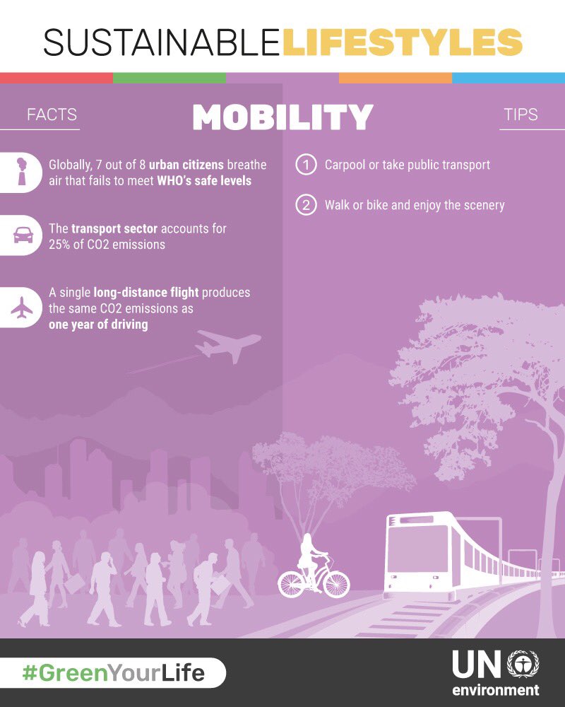 The transport sector accounts for 25% of CO2 emissions. 
How often do you walk🚶🏽‍♀️or bike 🚴instead of using a car?
#GreenYourLife