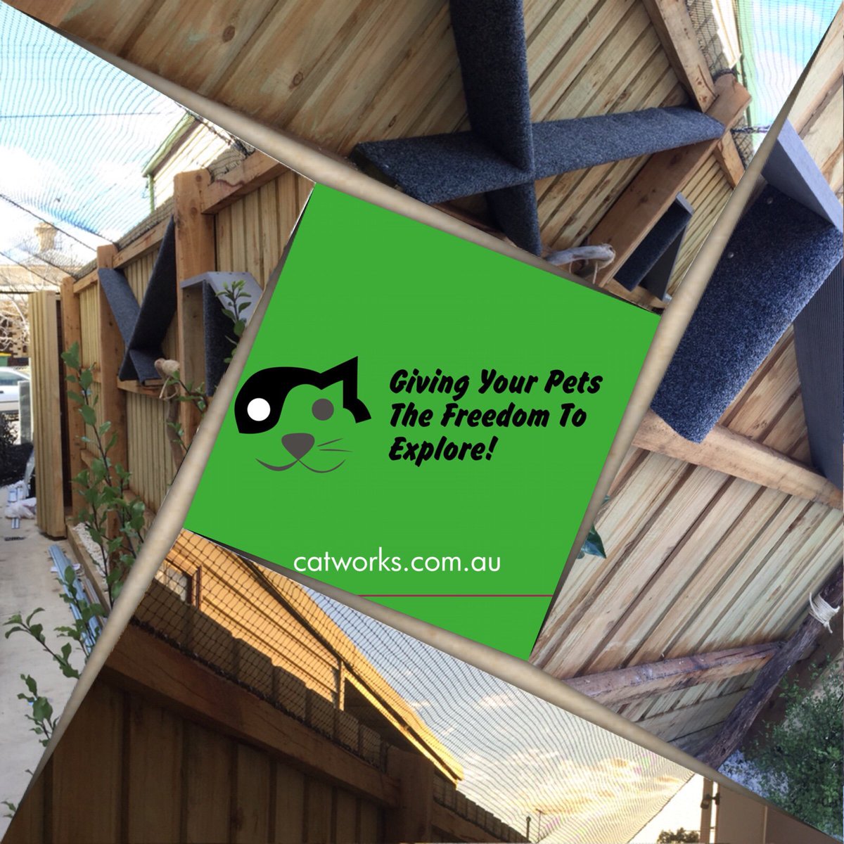 Catworks (@CatworksPets) / Posts / X