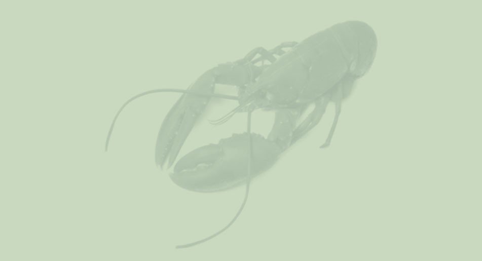 L’ASTICE E LA PIOVRA
Il #racconto della domenica di Elena Paparelli su <a href="/ilcolophon/">Il Colophon</a>: ow.ly/OICz30edoXn