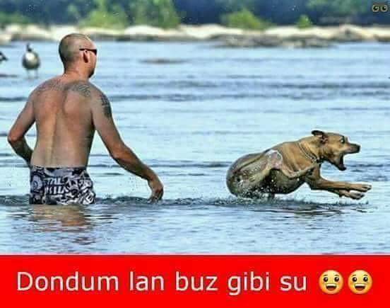 Sabah sabah denize girilir mi?