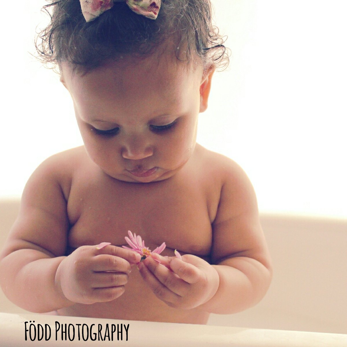 FoddPhotography's tweet photo. Baby Geneva Milkbath shoot #MilkBath #FöddPhotography #baby #Photography #Flower #Bow #MiniBath https://t.co/iEysTRkNrx