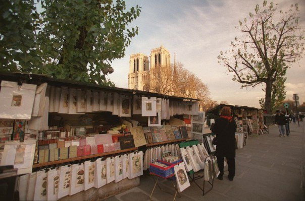 lesinrocks's tweet photo. Reportage chez les bouquinistes des quais de Seine, un métier en danger https://t.co/OYJDLAuE8l https://t.co/G3TYWB5U09