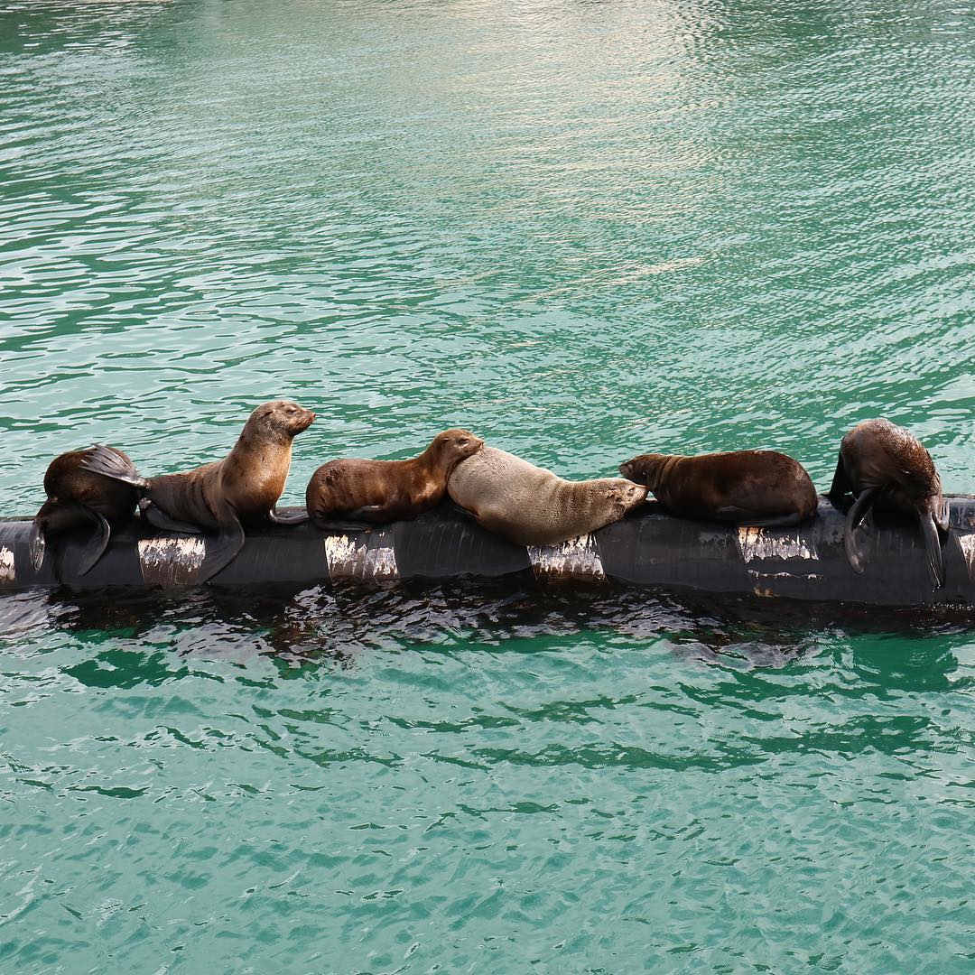 It's a sunny high of 15 degrees in Cape Town today 🌞
What are you getting up to today? 
Pic via instagram.com/hyejeong1 in Hout Bay