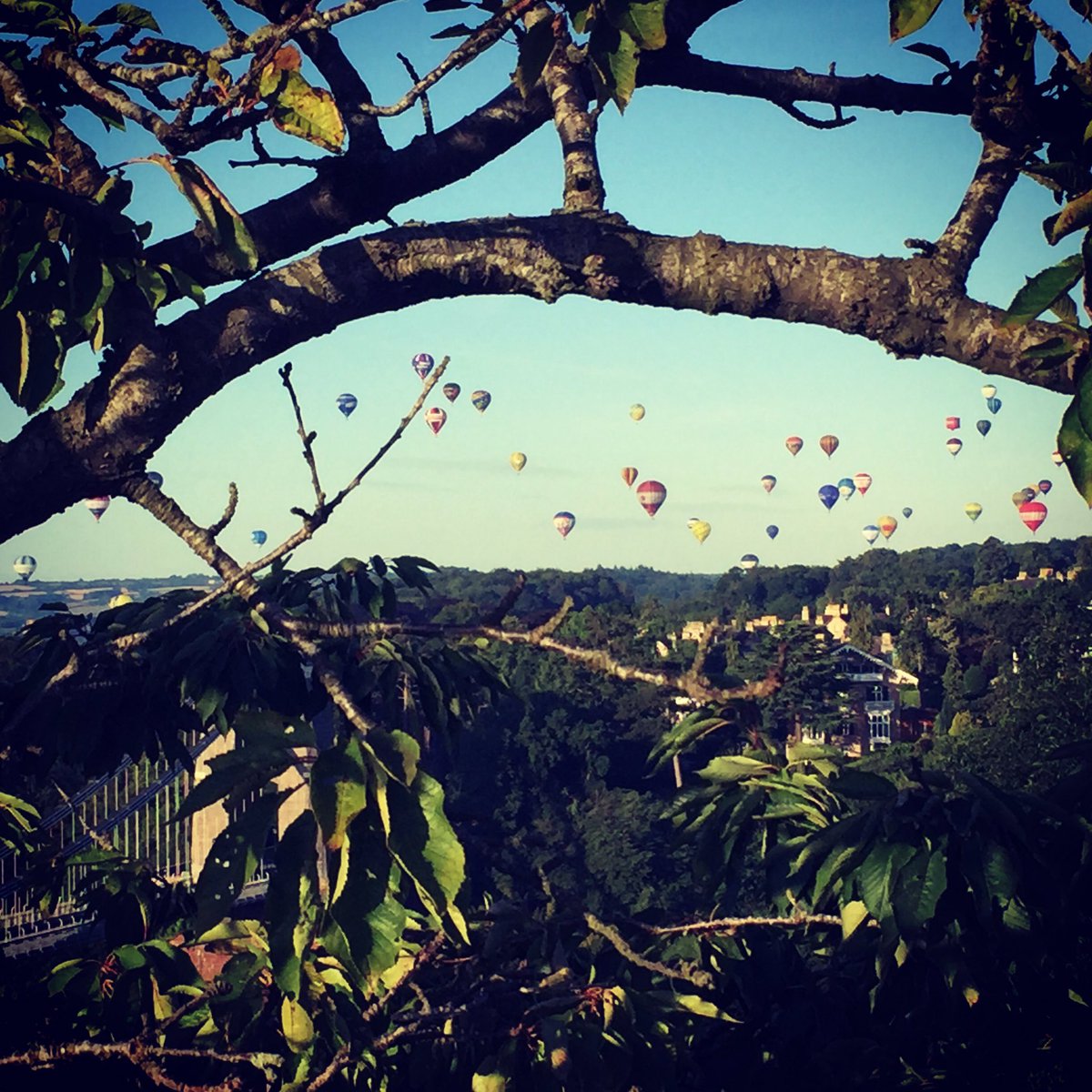 Duncan Groves tweet media