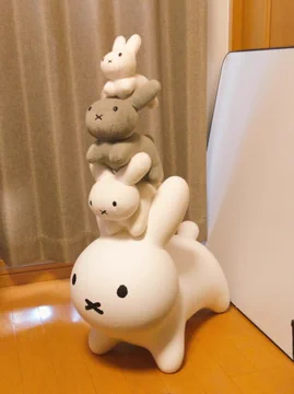 画像 / Picture