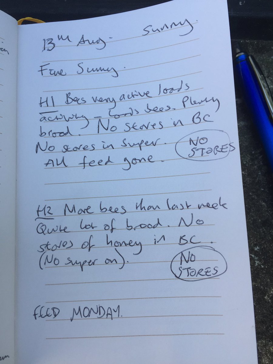 bee7forestgate's tweet image. Next visit Sunday at 10am