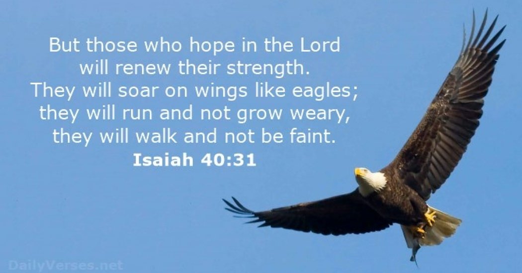veeangell's tweet photo. #Selah #waitingandtrusting #renewedstrength https://t.co/uVE6vcSIoi