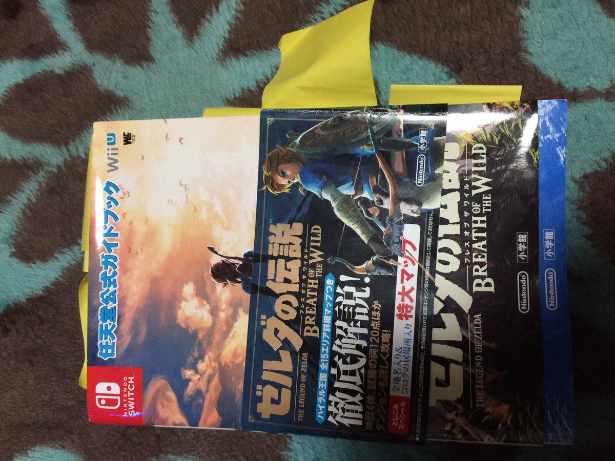 Reo On Twitter 先日 56歳の母が ゼルダの伝説 ブレスオブザ