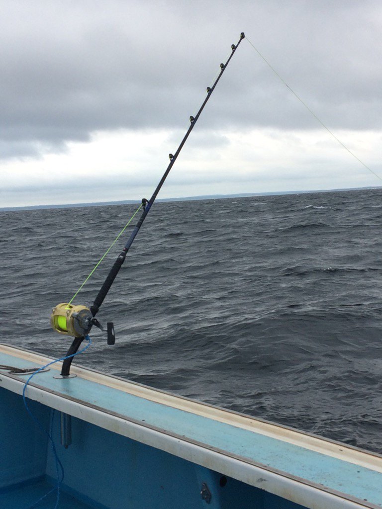 TUNA_TANK's tweet photo. Don't mind doin this job on a Sunday !! #GBFT #needabite https://t.co/hWyM3M7mYL