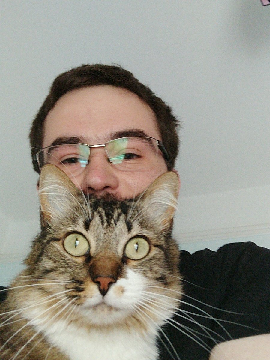 nerradia's tweet photo. @smartereveryday I don't have any cupcake, so here's my cat! https://t.co/MTZzfn6Lvj
