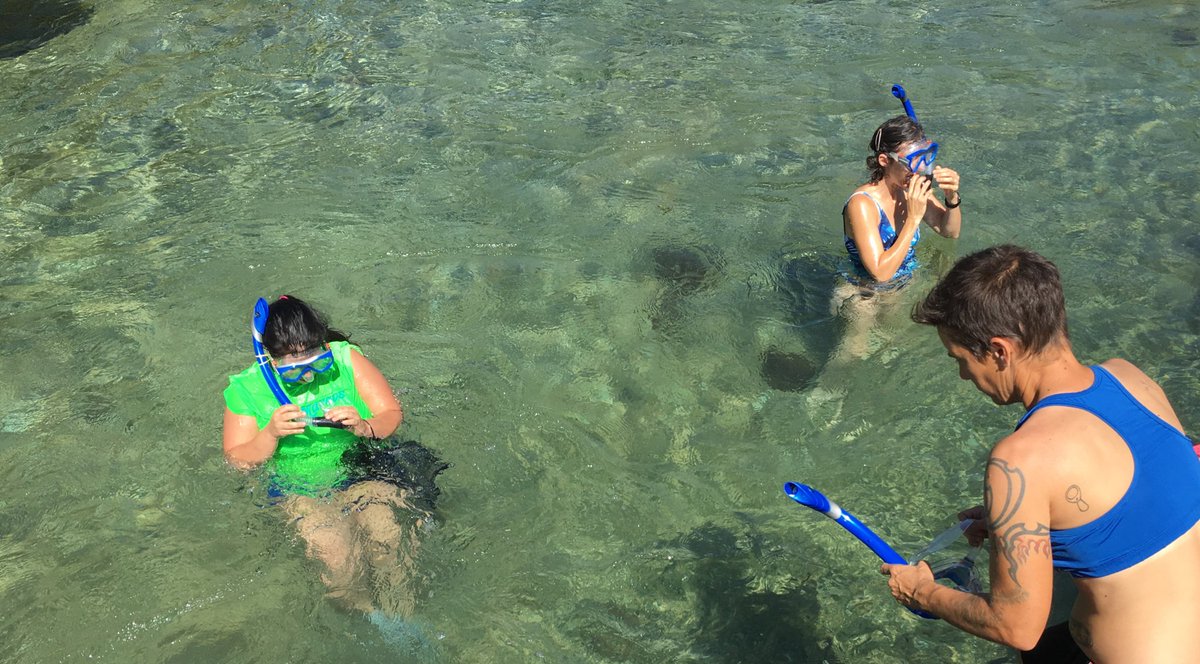 Free snorkeling going on in San Marcos until 3 - if you're willing to help clean the river. Event organized by #SnorkelTX  #KVUE