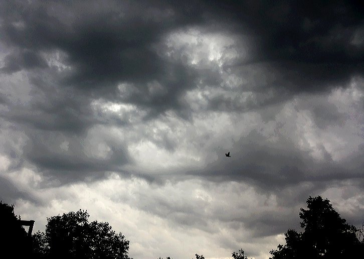 phoolermoton's tweet photo. #Auguststorm...
#afternoon #phonecam #nofilter  #Islamabad https://t.co/6FC7TGWrBL
