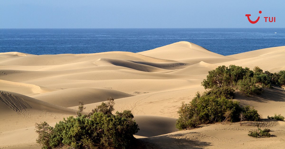 ¿Montaña, playa, bosques o acantilados? Lo puedes tener todo en Gran Canaria, un "continente en miniatura".