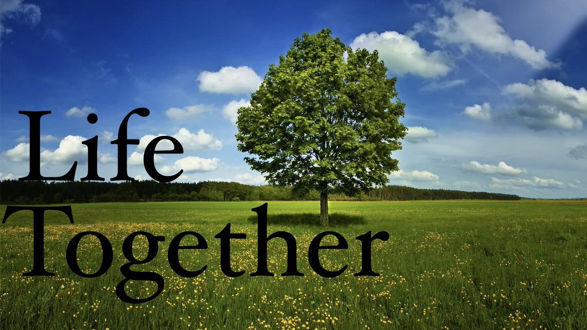 Once again our country is hurting. Join us today as we dive into how community helps where it hurts. #LifeTogether woccnashville.com