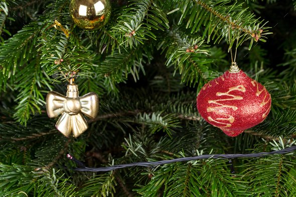 createfreeweb's tweet photo. Christmas toys on pine tree branch. (Misc) https://t.co/mA9USpMHZP https://t.co/VNJx4wkSqF