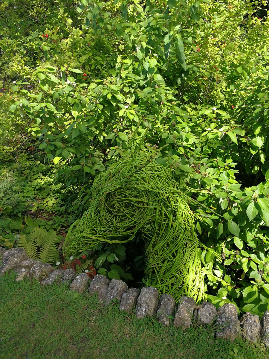GillCGeorgiou's tweet photo. Beautiful morning at @DoddingtonHall hunting for fairy tale creatures, then lunch in the garden #FinallyFeelsLikeSummer #DoddingtonSoI https://t.co/LQGp9lCo69