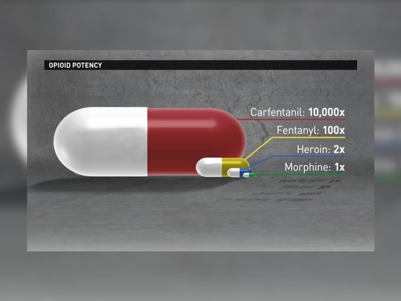Extremely Potent Drug Found At Prince Albert Penitentiary dlvr.it/PdmvRh https://t.co/vRHZRMnA5L