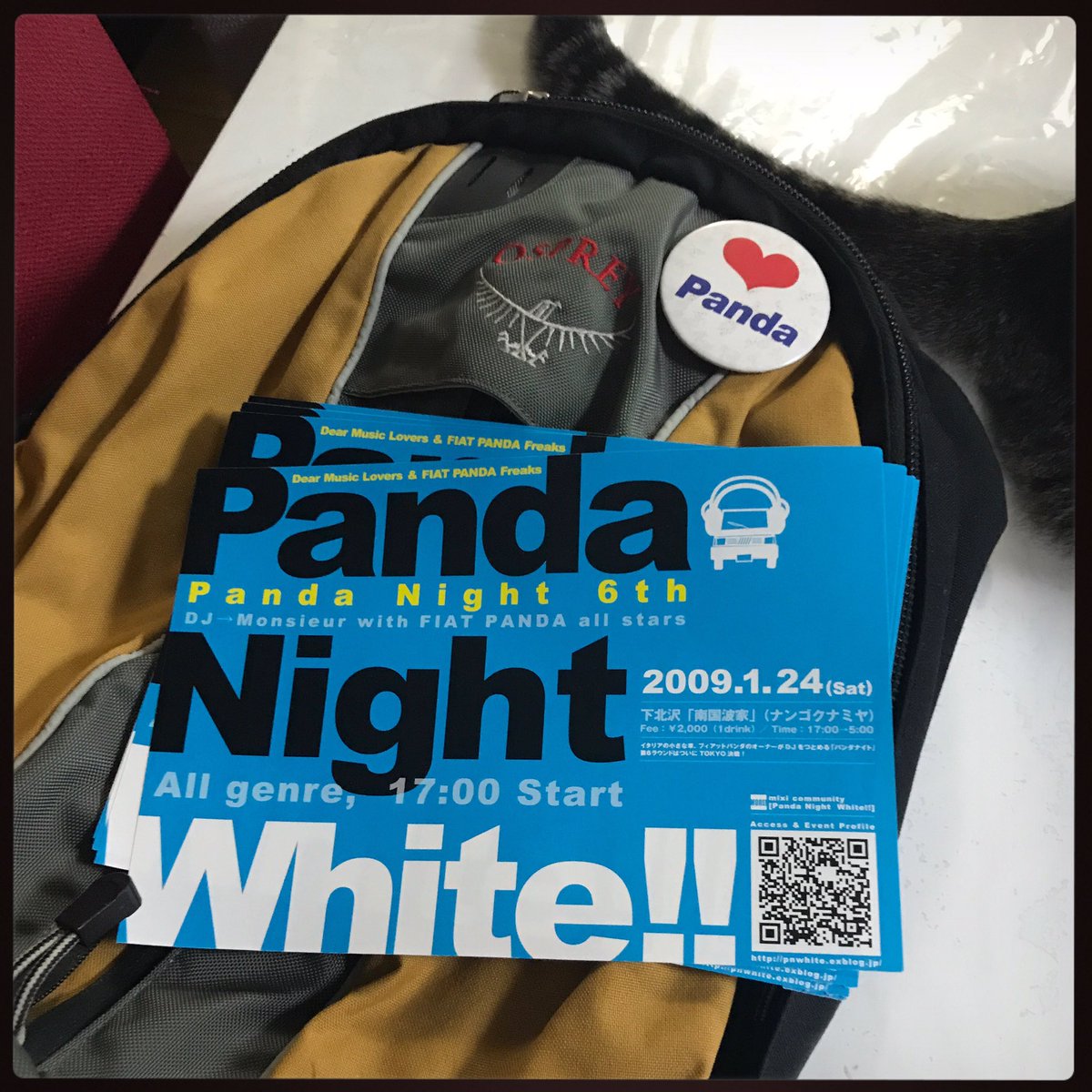 pandarino_ec's tweet image. しばらく使ってなかったバックパックを開けたら2009年のPandaNightのフライヤーが出てきたよ！パンダリーノの告知にパンダで下北まで乗り込んだったんだ、懐かしい☆ #pandanight #fiatpanda #pandarino