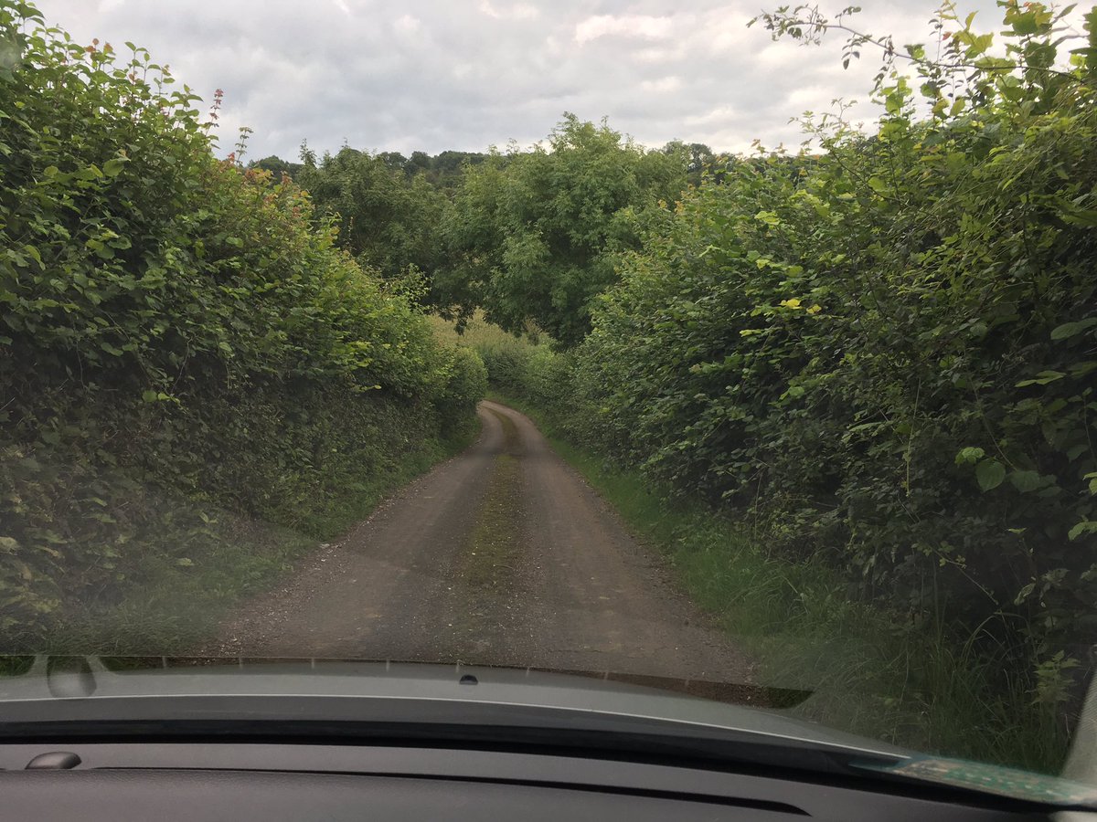 Jo_In_Devon's tweet image. Managed to avoid the traffic 😂#SatNavFail #Somerset