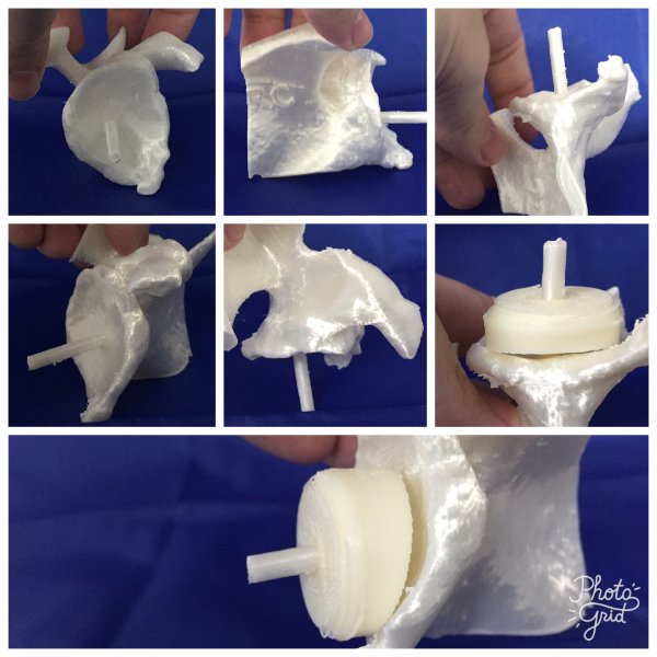 Dr. Bruno Gobbato tweet media