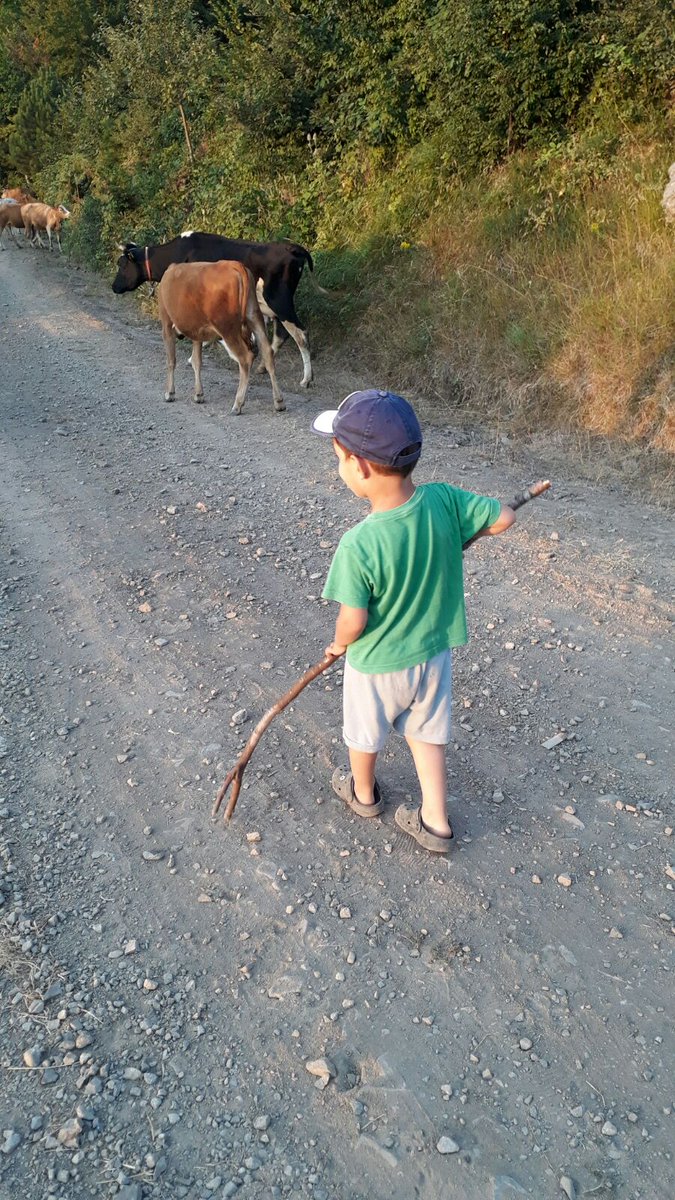 Umursama dünya gelse üstüne..
İçinde büyüyen bir ahın olsun.
Elbet birgün devran döner tersine.
Tahammül en büyük silahin olsun