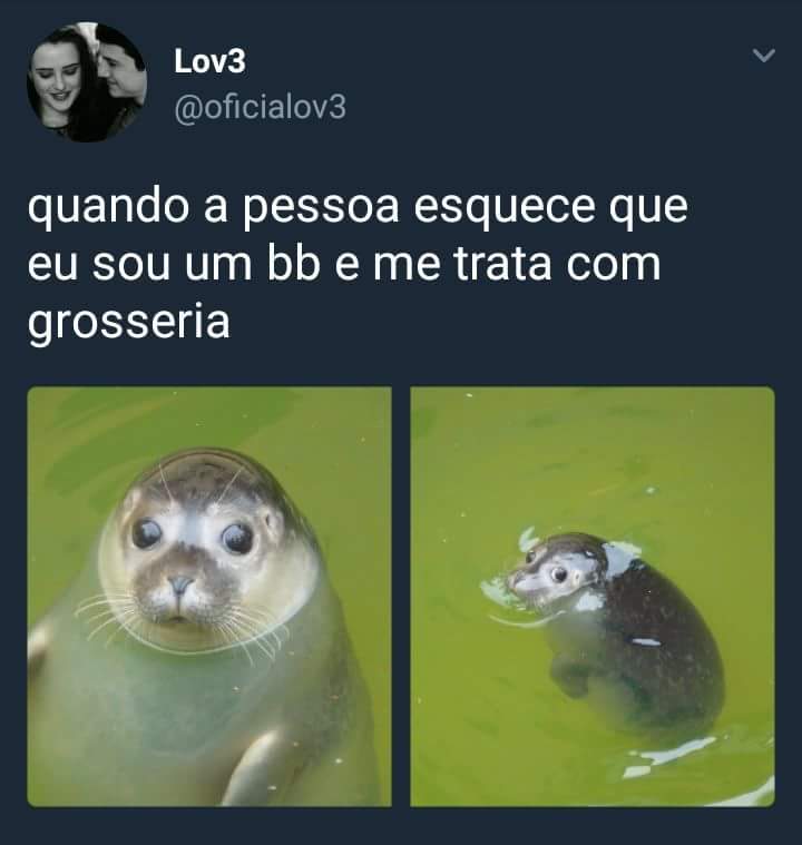 FernandaCndid10's tweet image. :/