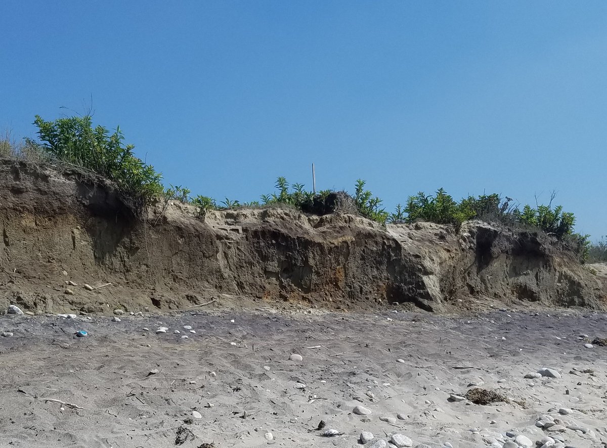 BrightSide_RI's tweet photo. Erosion and rising sea levels have ravaged Roy Carpenter's Beach in #RI. Zoom in &amp; you'll see a cinderblock footing where a home once stood. https://t.co/GBELo3n0Qn