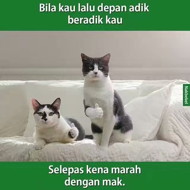 HafifiHarris's tweet photo. Time kecik selalu kena mcm ni. https://t.co/AzieknJa4E