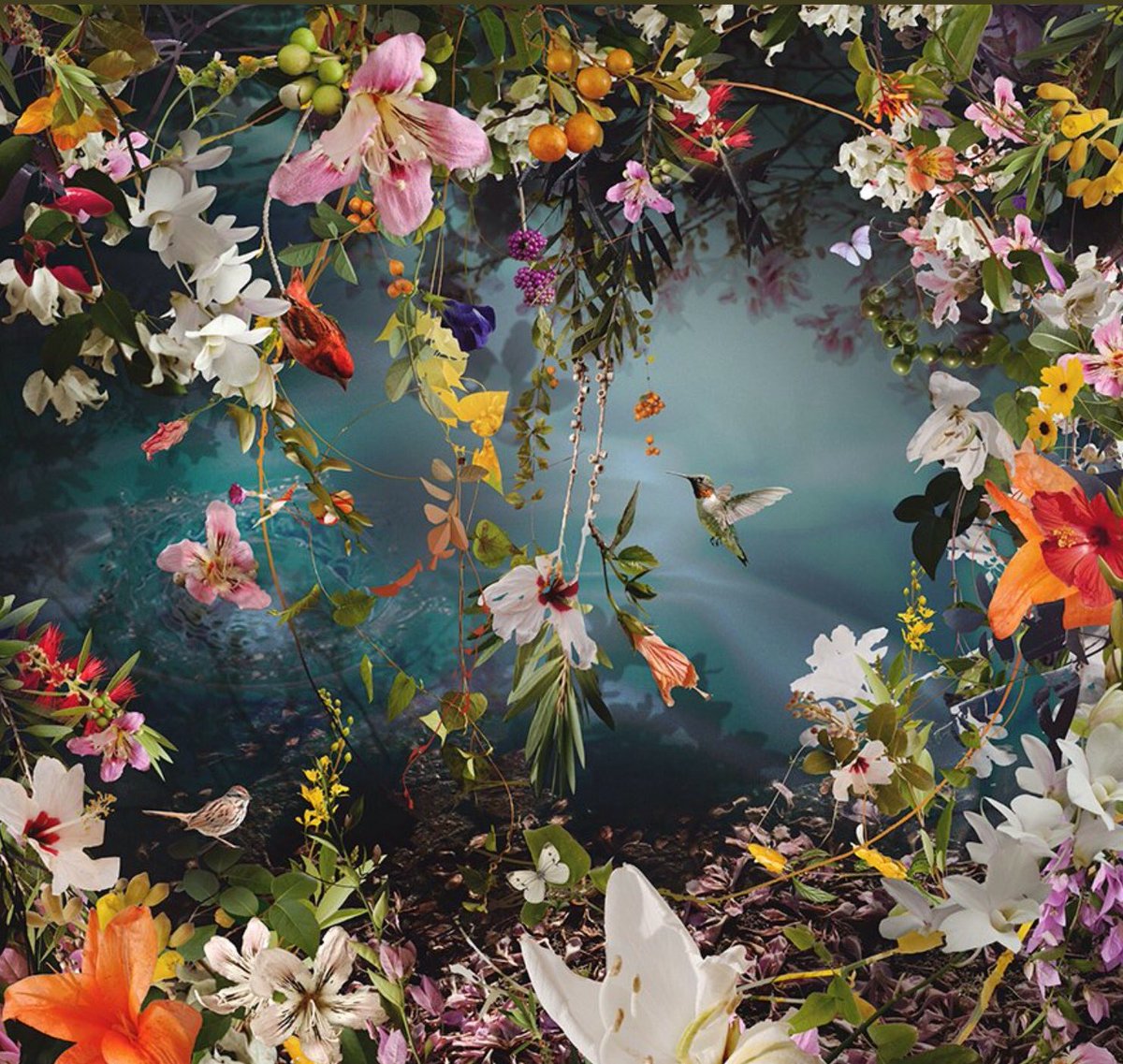 ramblingsloa's tweet photo. Every single soul blossoms in its own time
And in its own way. https://t.co/HvTwgA4v8D