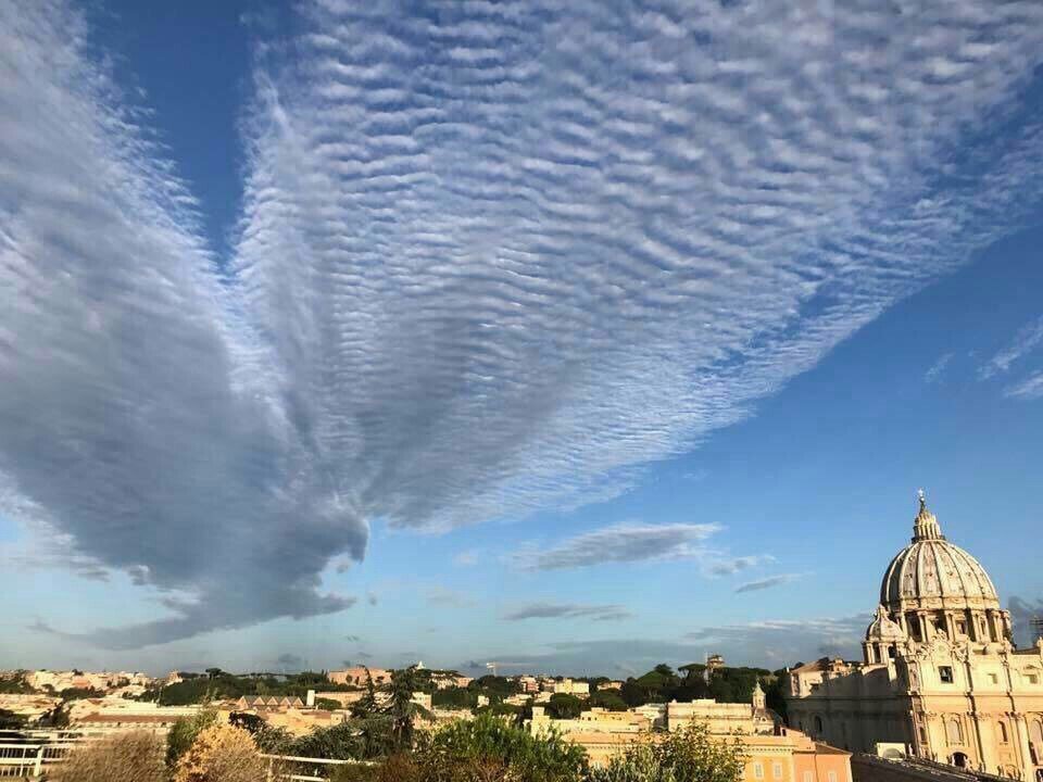 rb1bh's tweet image. Орел