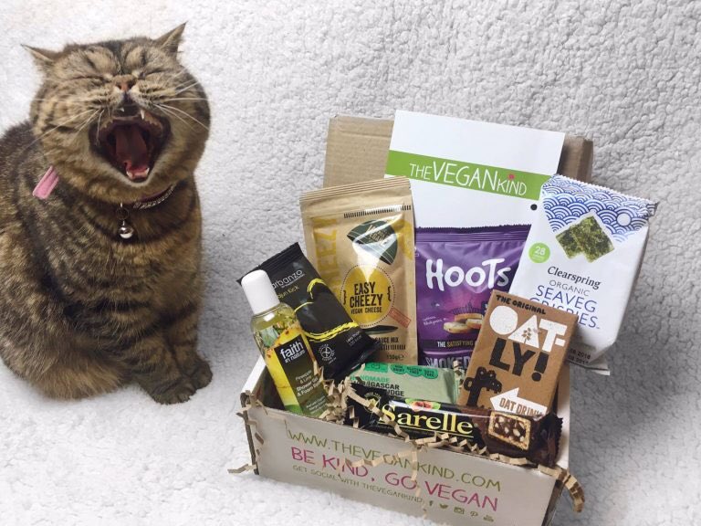HootSnacks's tweet photo. A great #blog on @thevegankind #tvk41 featuring our Hoots #snacks from @luisachristie 😋🐱#yummy #vegetarian #vegan https://t.co/4ZfnYoirlM https://t.co/qZYD3rkmw8