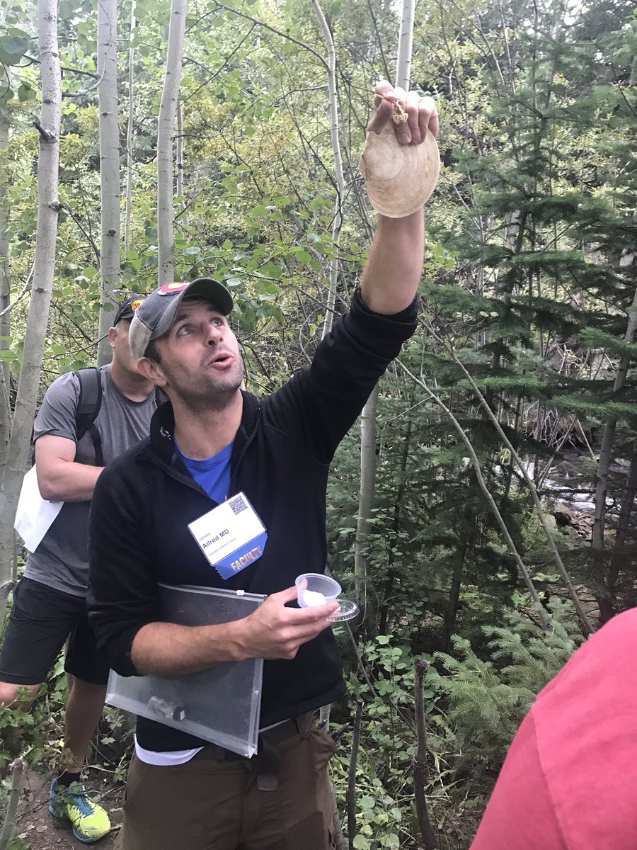 CME hike taught by Dr James Allred at #PracticalSymposium17 #dermatology #dermpath #spiders #snakes #poisonousplants #wildernessmedicine