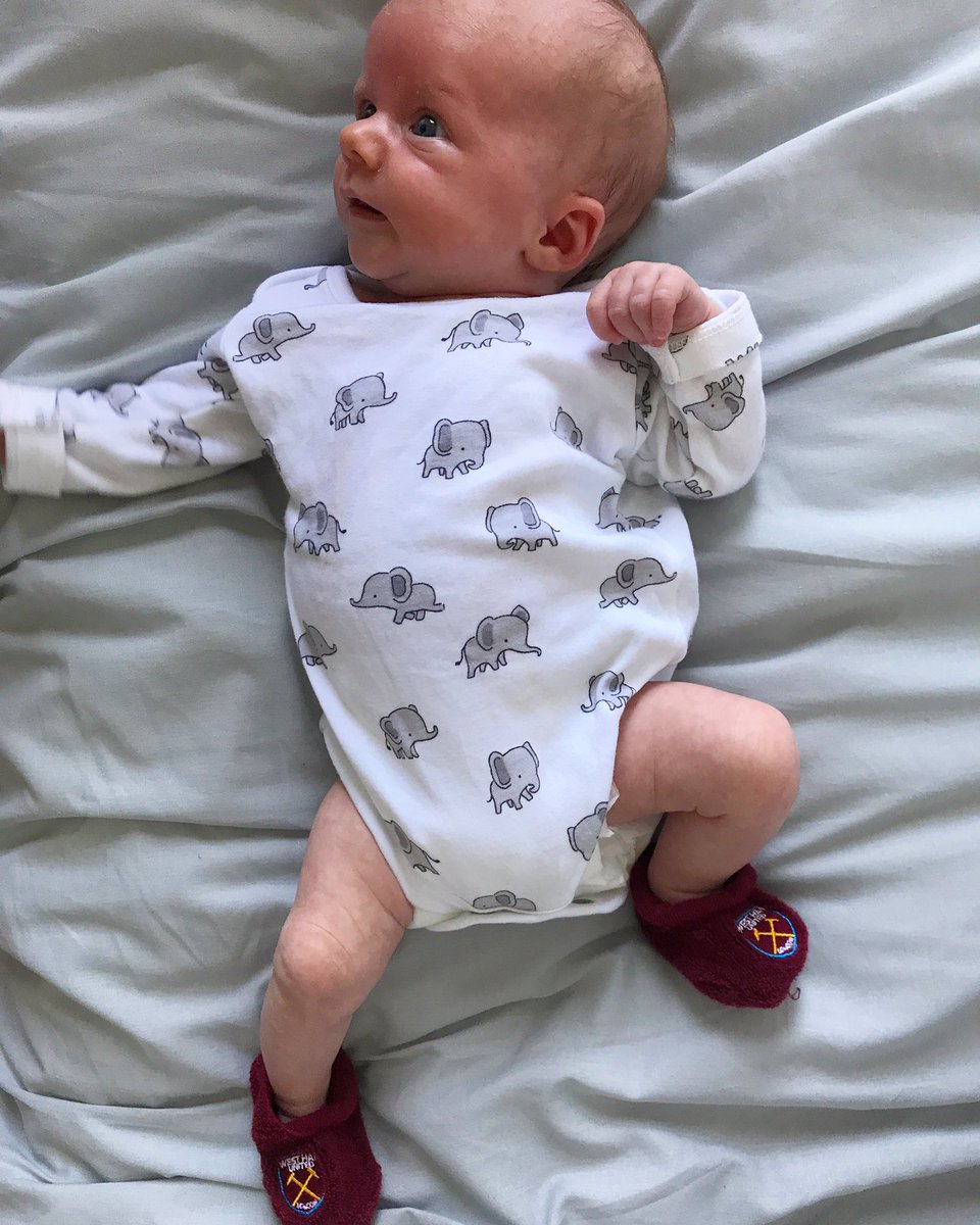 Match day! This guy can't wait!! #coyi ⚒⚒⚒