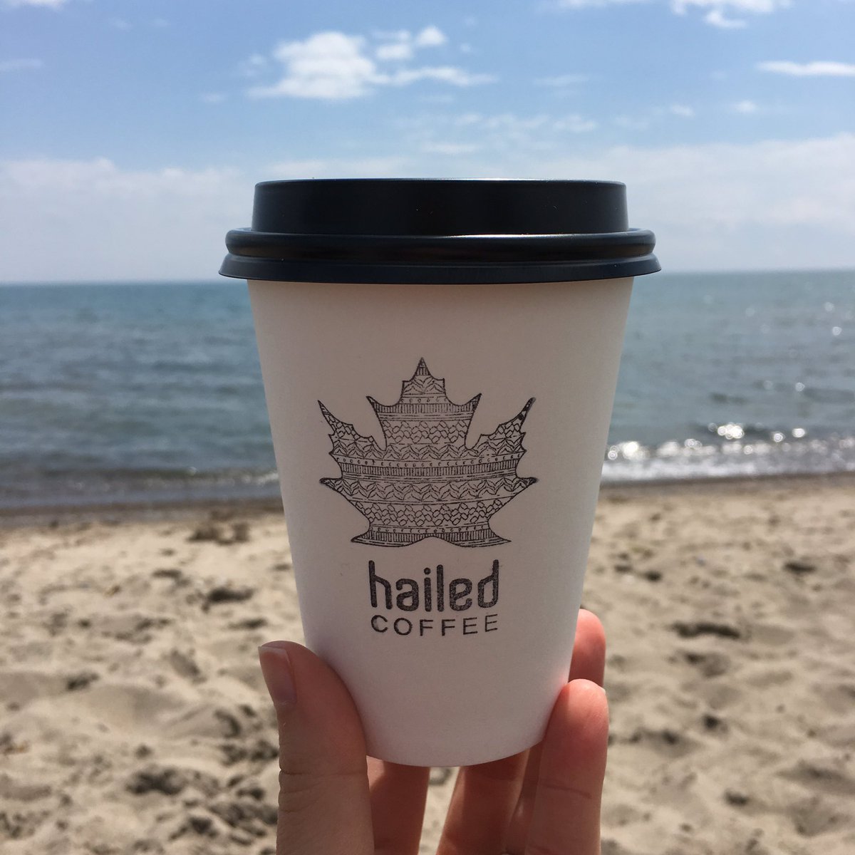 HailedCoffee's tweet photo. Sun is in the forecast! Swing by hailed for the perfect beach snacks and drinks. #blogto #summertoronto #yyz #summerdays https://t.co/YKB60vSI0M