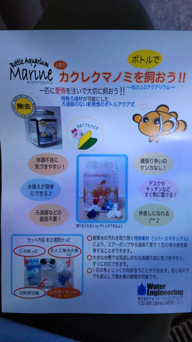 アミーゴ大町店 アクア カクレクマノミが飼える不思議なボトル ボトルアクアリウムマリン 中身は人工海水とカラーサンドとあやしい白い玉 リバースマテリアル というこの白い玉が凄いんです 科学ろ過に非常に優れてまして魚を苦しめる様々な