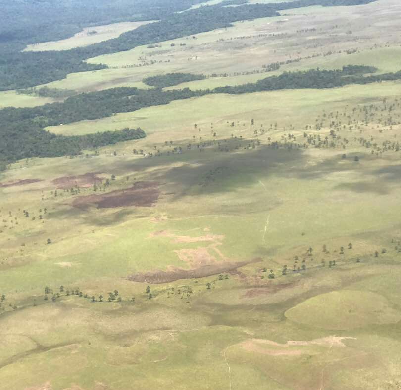 Marlenycdc_'s tweet photo. #GranSabana, una de las joyas turísticas más impresionantes del planeta, inmensas selvas, tierra de leyendas... #VenezuelaEsParaQuererla https://t.co/GzQcTjPE0A