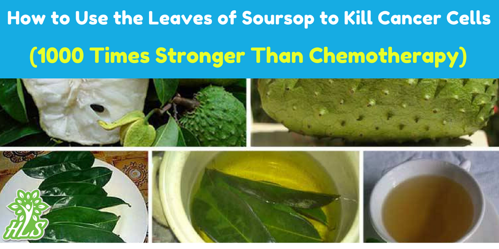 HealthLivingSol tweet picture