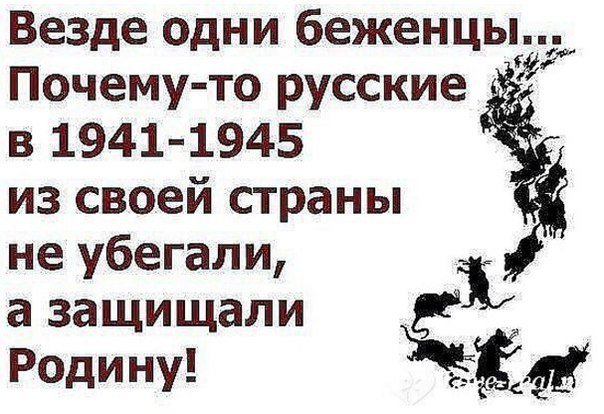 SOFIA_LIFE's tweet photo. https://t.co/okOuRXe3Gx