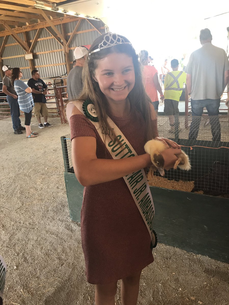 suttonambassadr's tweet photo. Fun in the new mini barn #agproud #ontarioag #ambassadorthings @SuttonFair #suttonfair https://t.co/FoXWVjaw8b