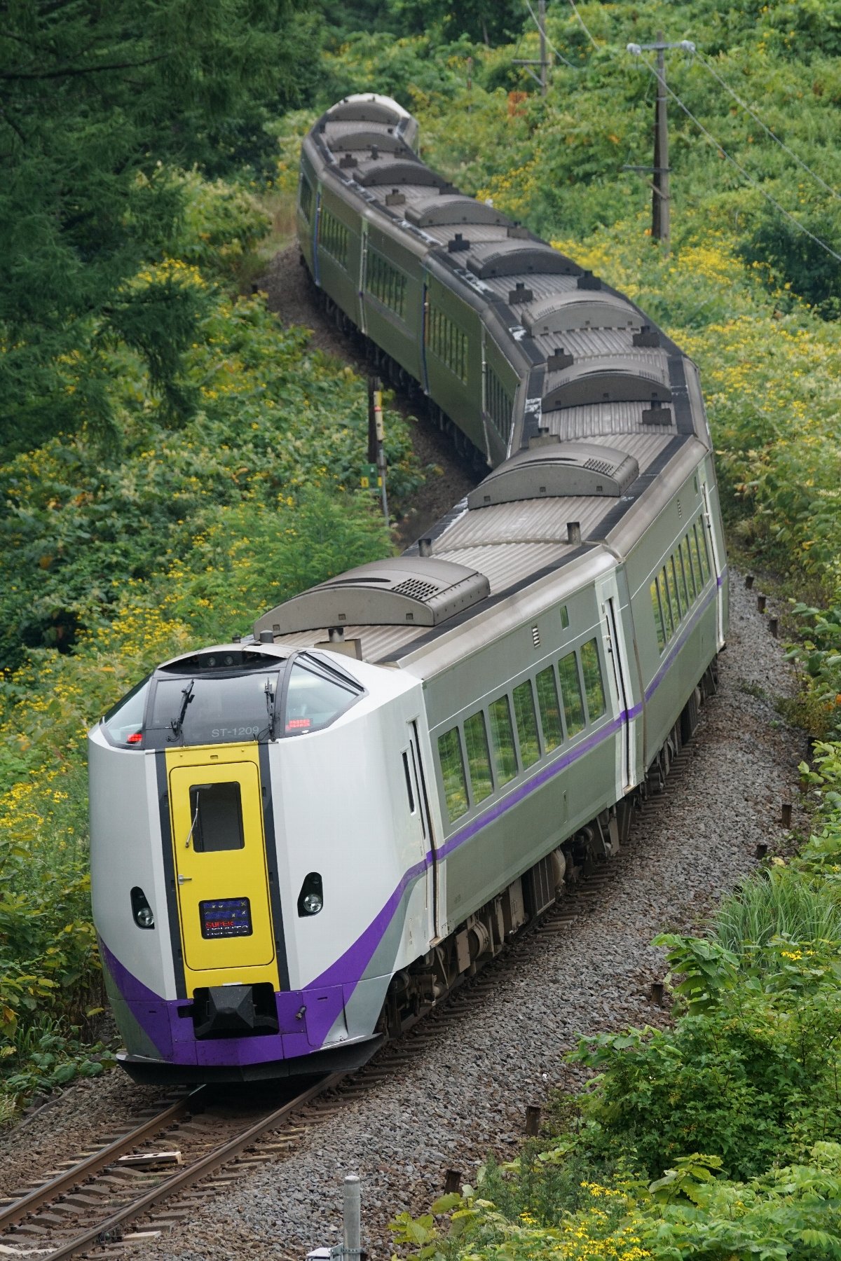 かっちん H29 08 13 遠征最終日は宇宙軒カーブで一点張り 長編成が似合います ようやくスラントノーズに出会えました ﾉ 臨時特急 北斗84号 8022d 特急 スーパー北斗6号 6d 特急 北斗8号 8d 臨時特急 北斗号 8024d