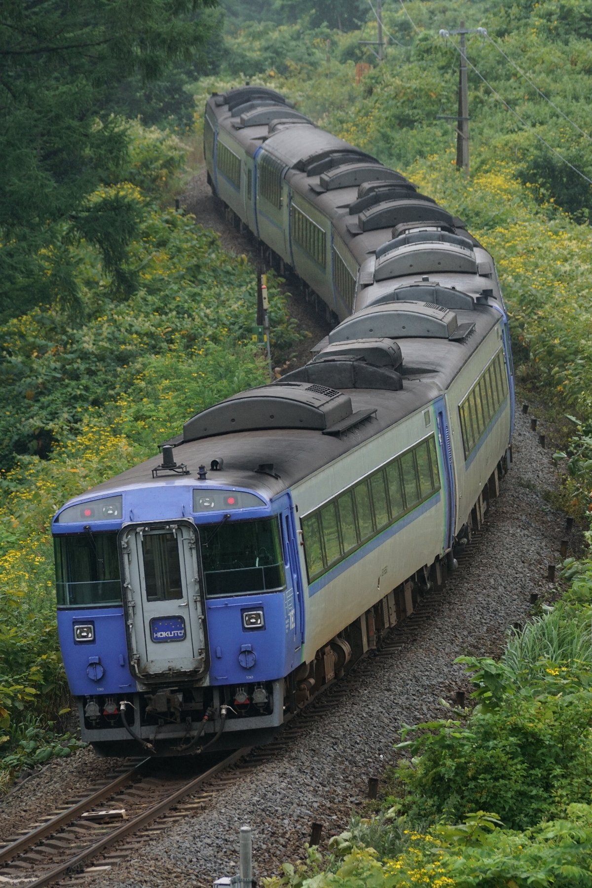 かっちん H29 08 13 遠征最終日は宇宙軒カーブで一点張り 長編成が似合います ようやくスラントノーズに出会えました ﾉ 臨時特急 北斗84号 8022d 特急 スーパー北斗6号 6d 特急 北斗8号 8d 臨時特急 北斗号 8024d