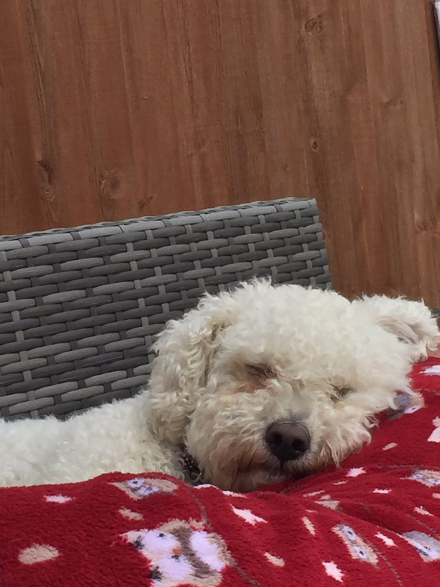 GeorgeHobin's tweet photo. #justchilling https://t.co/1q9z5JUJyD
