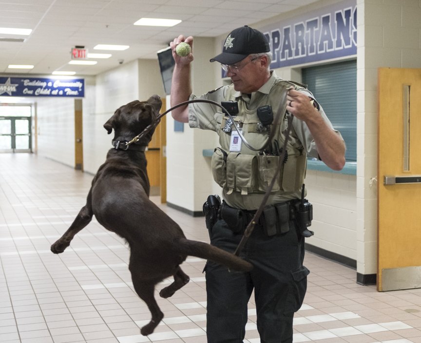 gtimes's tweet photo. Hall schools recruit a trained Labrador to find drugs on campuses. Murph the drug dog will visit all county schools.
https://t.co/RWBdkPtMSb https://t.co/Idj102cMsJ