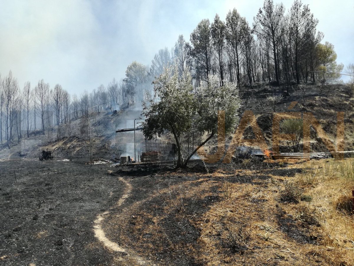 HoraJaen's tweet photo. #ESTÁPASANDO | Así está quedando el paraje en #IFJaen. Siguen trabajando para su estabilización y control https://t.co/eb1NKdQA2e https://t.co/CRSgUTZ7EX